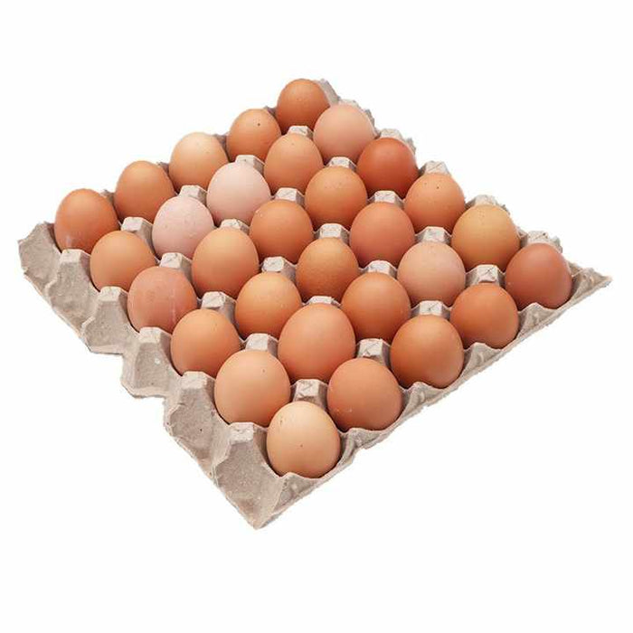 30 x Large Eggs